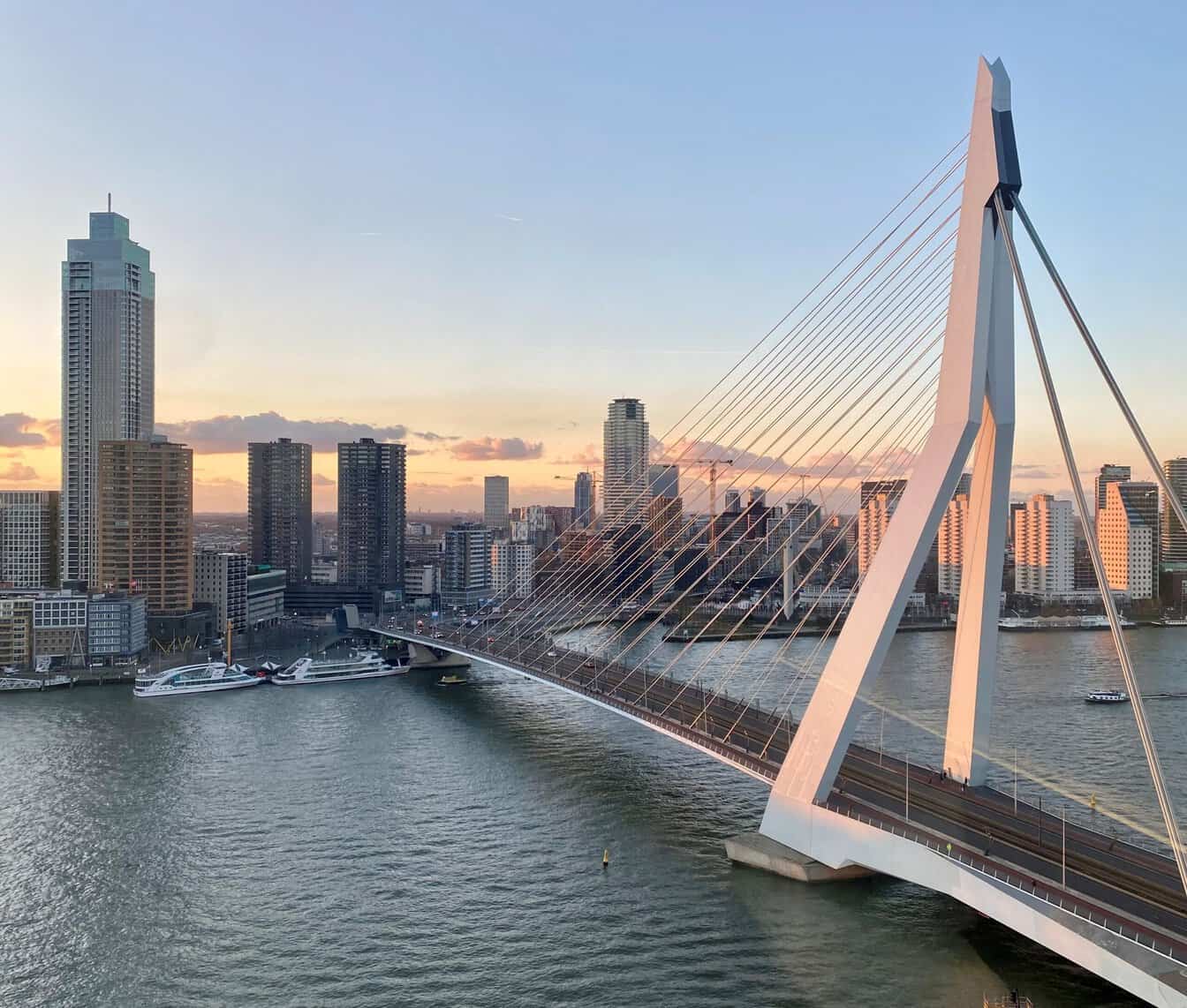 uitzicht over de skyline van Rotterdam en de Erasmusbrug vanuit De Rotterdammer