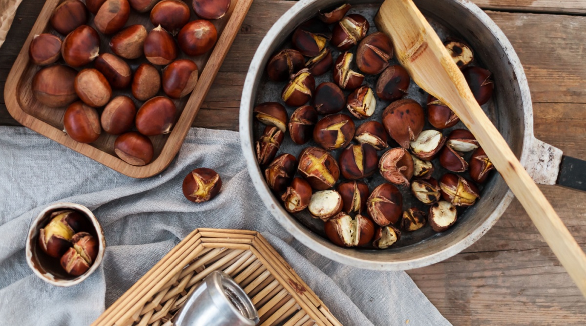 Kastanjes: zo herkent u de eetbare variant én maakt u ze op verschillende manieren klaar